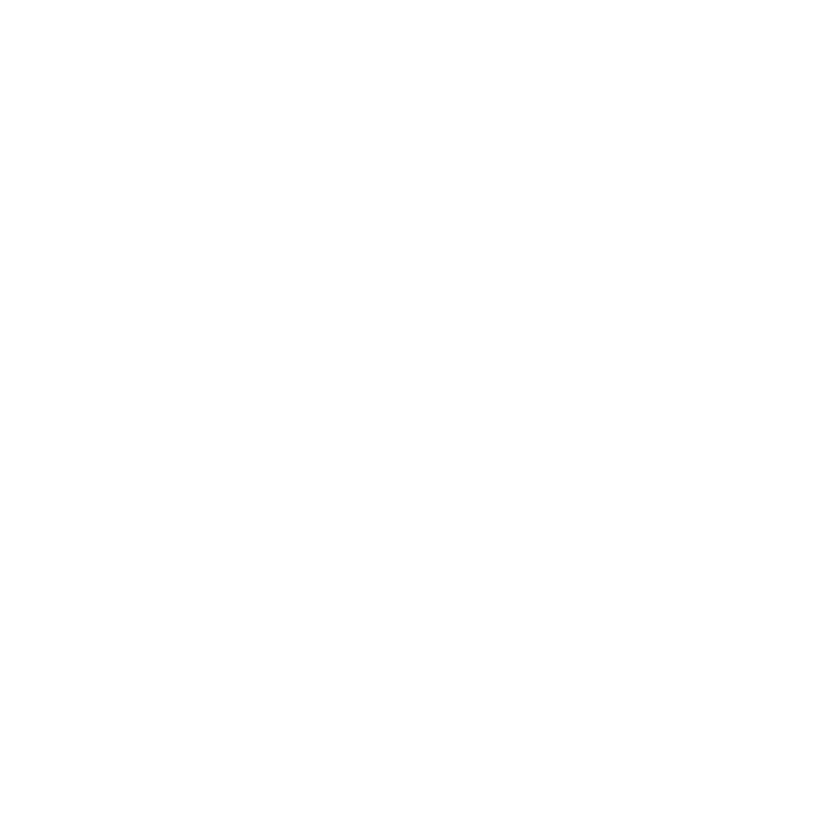 JBS Immobilier